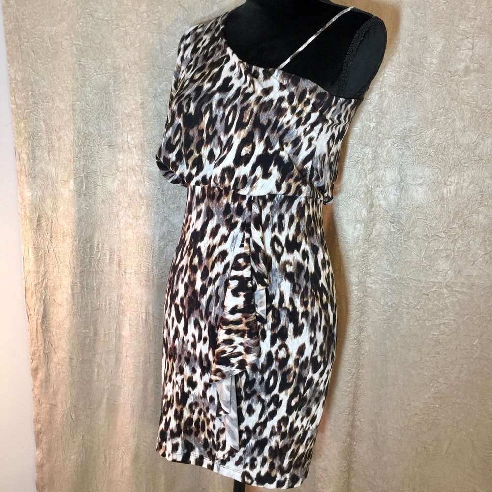 🖤Sweet Storm asymmetric animal print dress